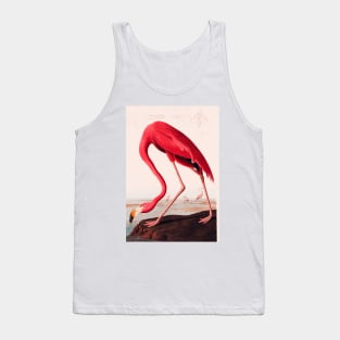 Bird of America  Bird, bird lover, america, beautiful  Public domain painting by John James Audubon Tank Top